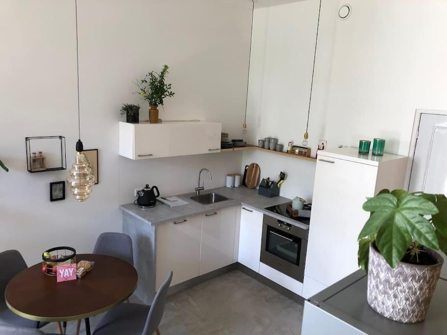 Luxurious Appartement With Sauna And Kitchen In Center Of Dordrecht Exteriör bild